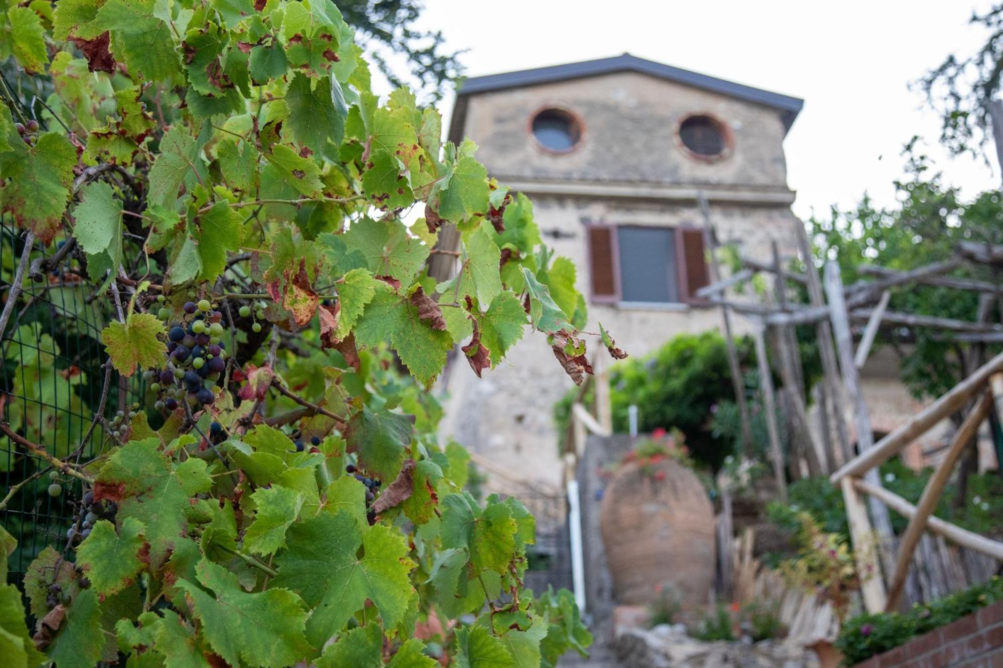 Il Melograno In Costa D'Amalfi - Romantic Experience Vietri Bagian luar foto